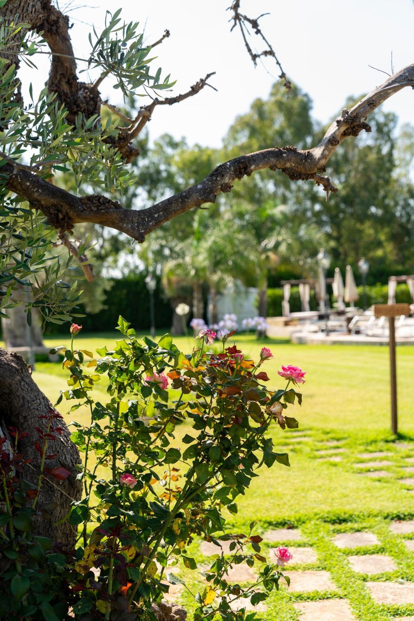 Masseria Giamarra Carpignano Salentino Bagian luar foto