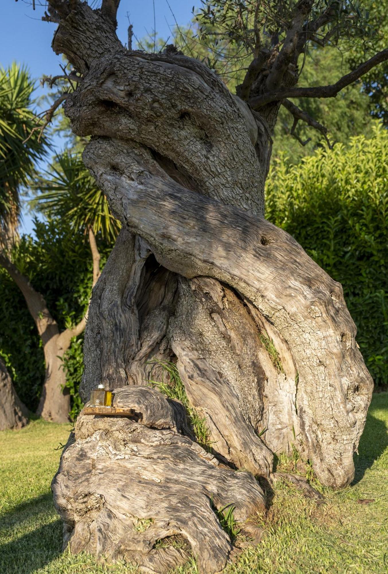 Masseria Giamarra Carpignano Salentino Bagian luar foto